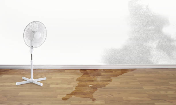 Best Flooded house restoration  in Fostoria, OH