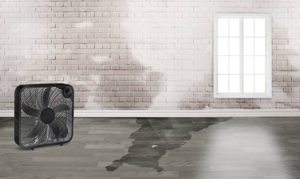 Water damage restoration experts in Fostoria, OH