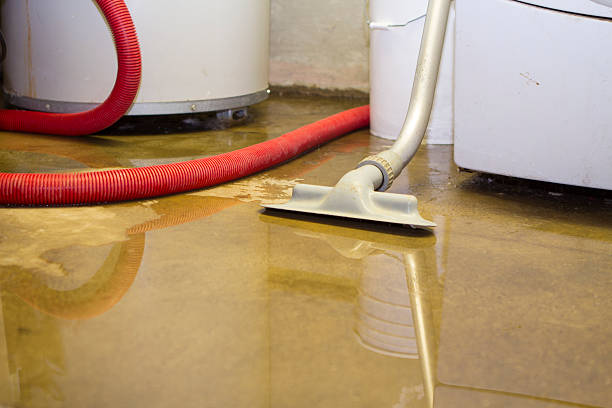 Best Water damage restoration services  in Fostoria, OH