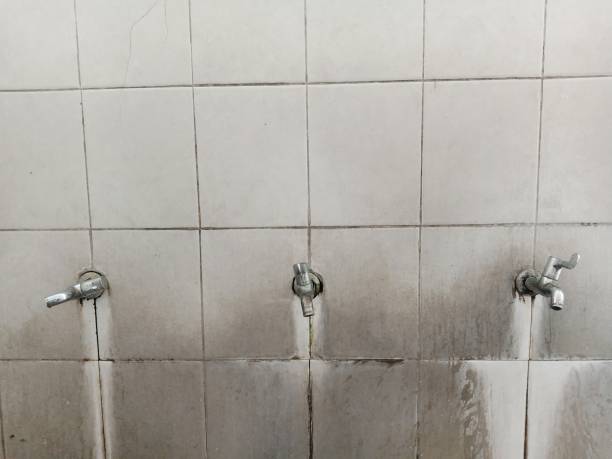 Best Water damage restoration insurance claims  in Fostoria, OH