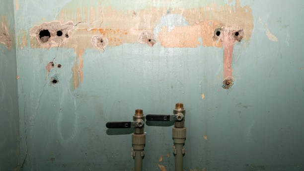Best Flood restoration services  in Fostoria, OH