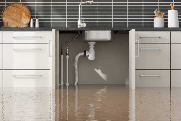 Best Water damage restoration experts  in Fostoria, OH